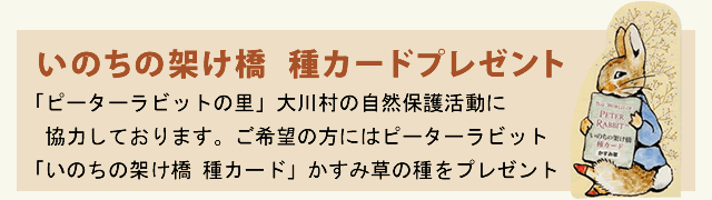 いのちの架け橋  種カードプレゼント